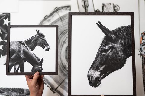 Breathing Real Life Into Modern Design: A Q&A with Jack Ludlam