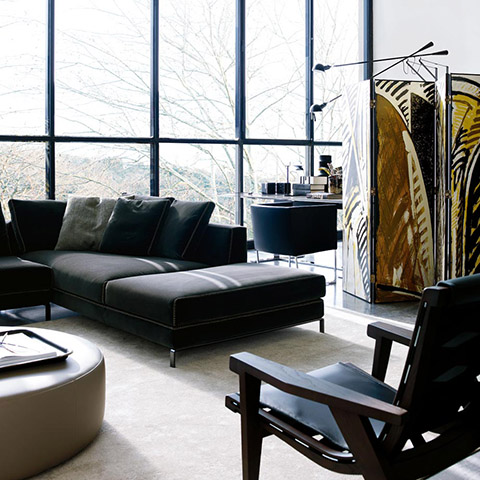 modern living room featuring b&b italia ray sofa
